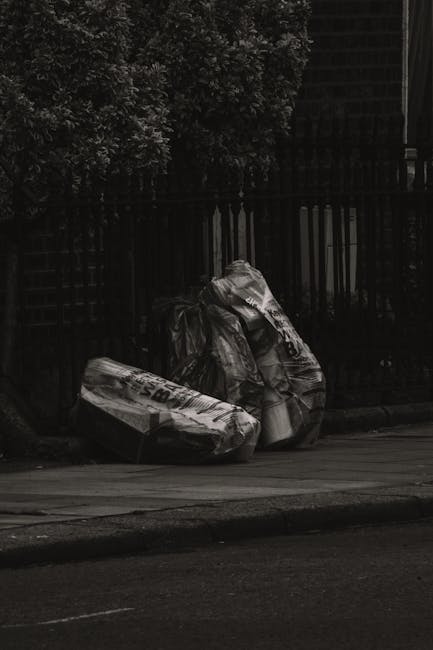Kentish Town rubbish collection guide for NW5 residents
