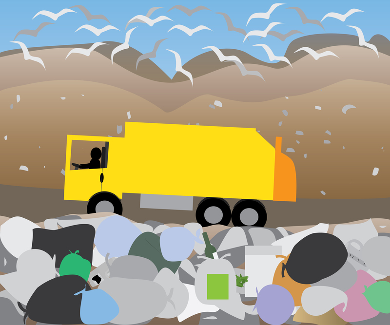 Revamping Your Disposal Habits for Cardboard and Packaging Waste